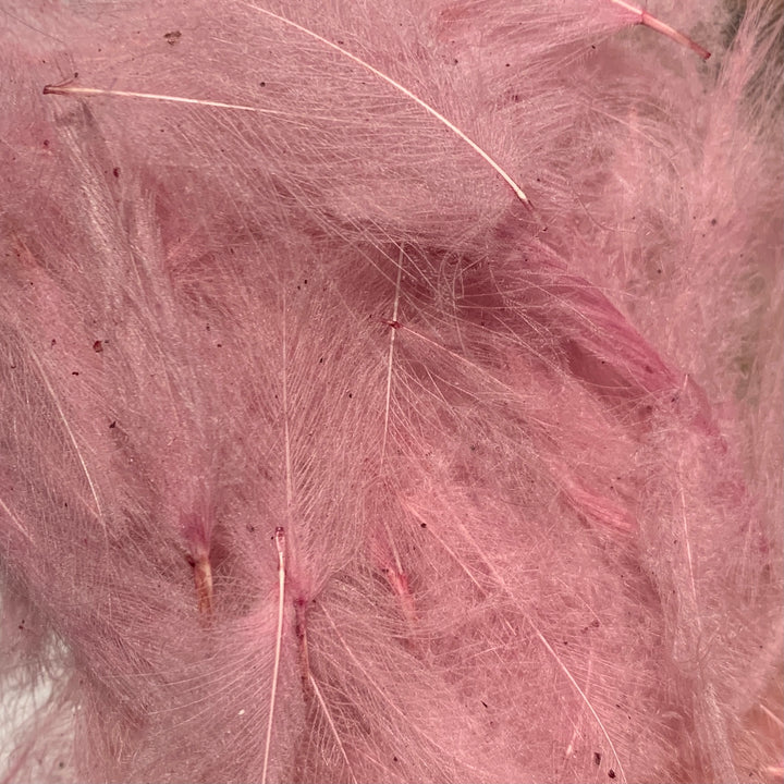 Swiss CDC 100% Natural Dyed Grade