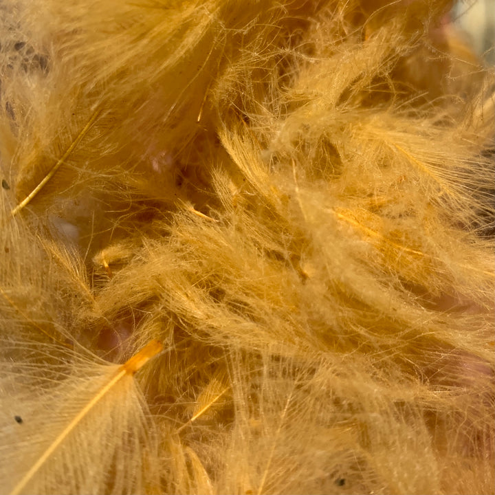Swiss CDC 100% Natural Dyed Grade