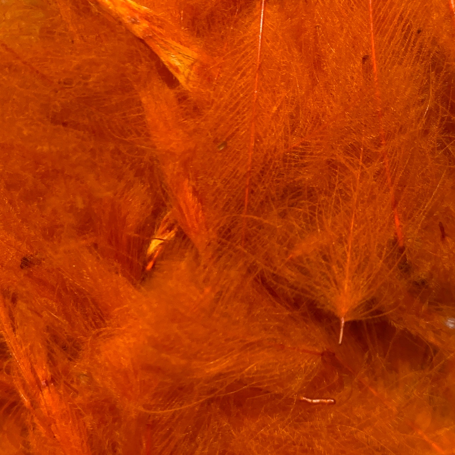 TroutHunter Premium Bulk CDC - Feathers & Marabou - Fly Fish Food