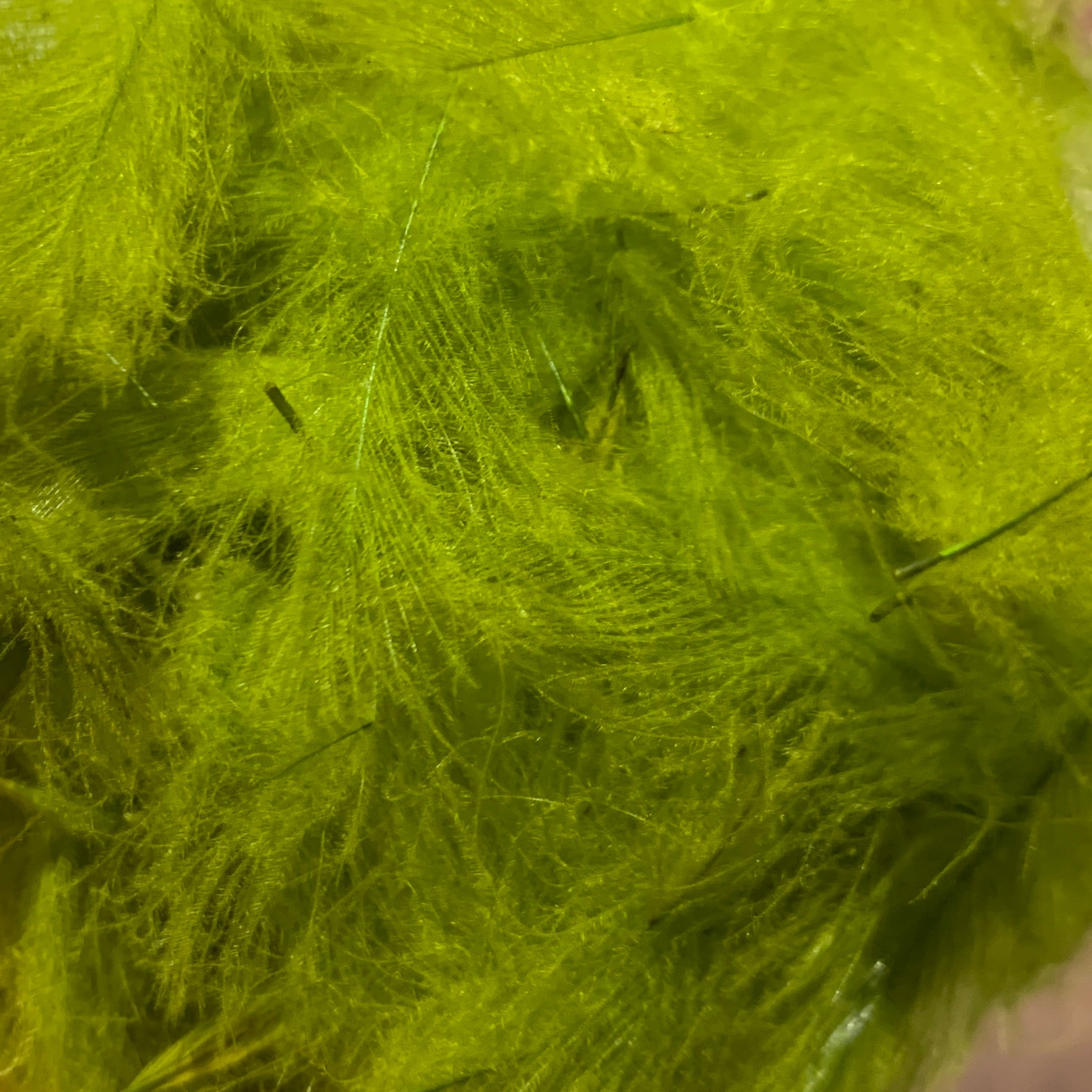 TroutHunter Premium Bulk CDC - Feathers & Marabou - Fly Fish Food