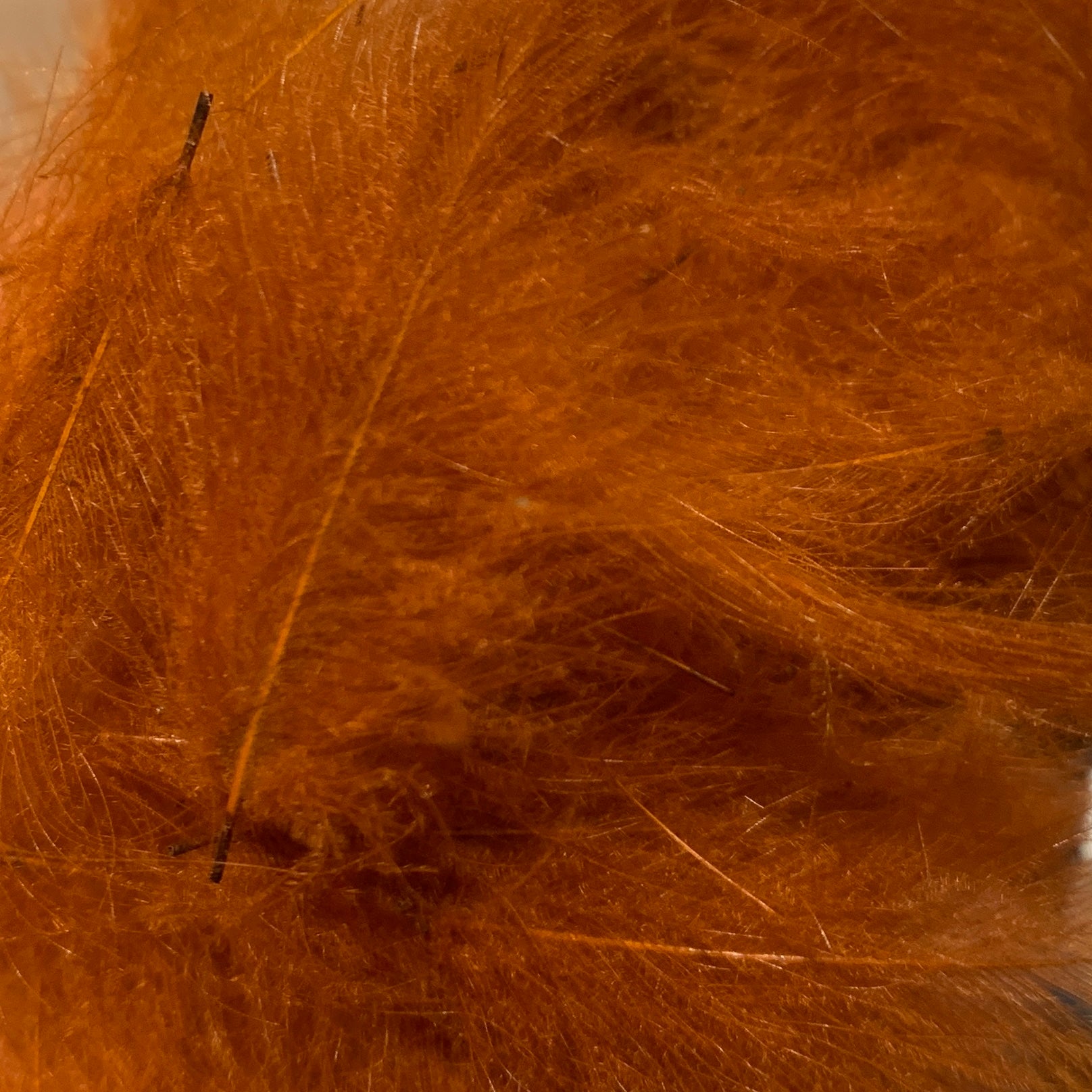 TroutHunter Premium Bulk CDC - Feathers & Marabou - Fly Fish Food