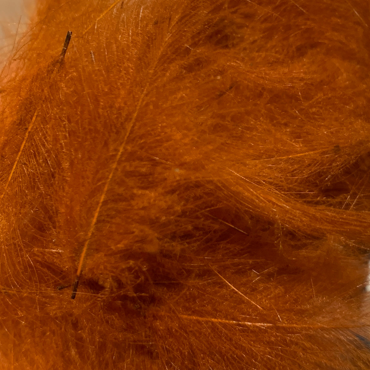 TroutHunter Premium Bulk CDC - Feathers & Marabou - Fly Fish Food