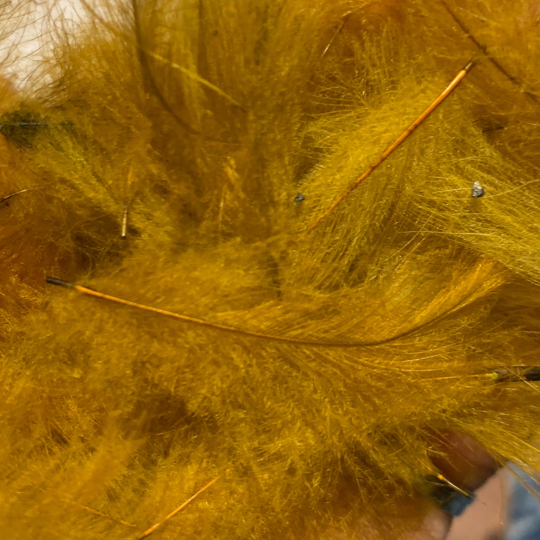 TroutHunter Premium Bulk CDC - Feathers & Marabou - Fly Fish Food