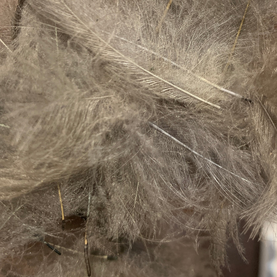 TroutHunter Premium Bulk CDC Fly Fish Food