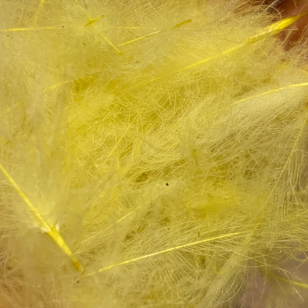 TroutHunter Premium CDC - Feathers & Marabou - Fly Fish Food
