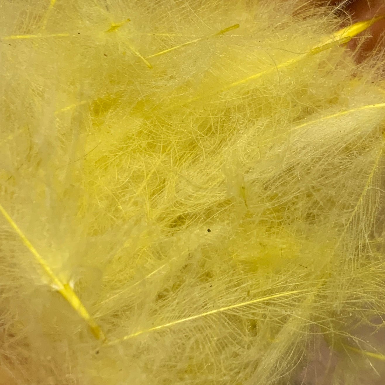 TroutHunter Premium Bulk CDC - Feathers & Marabou - Fly Fish Food