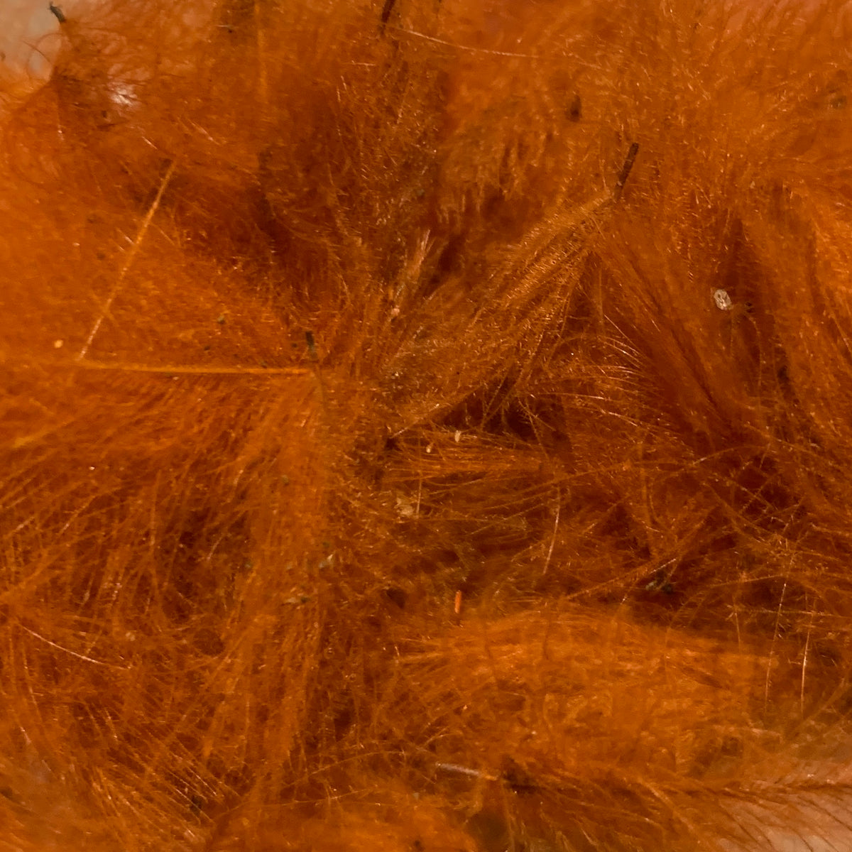 TroutHunter Premium CDC - Feathers & Marabou - Fly Fish Food
