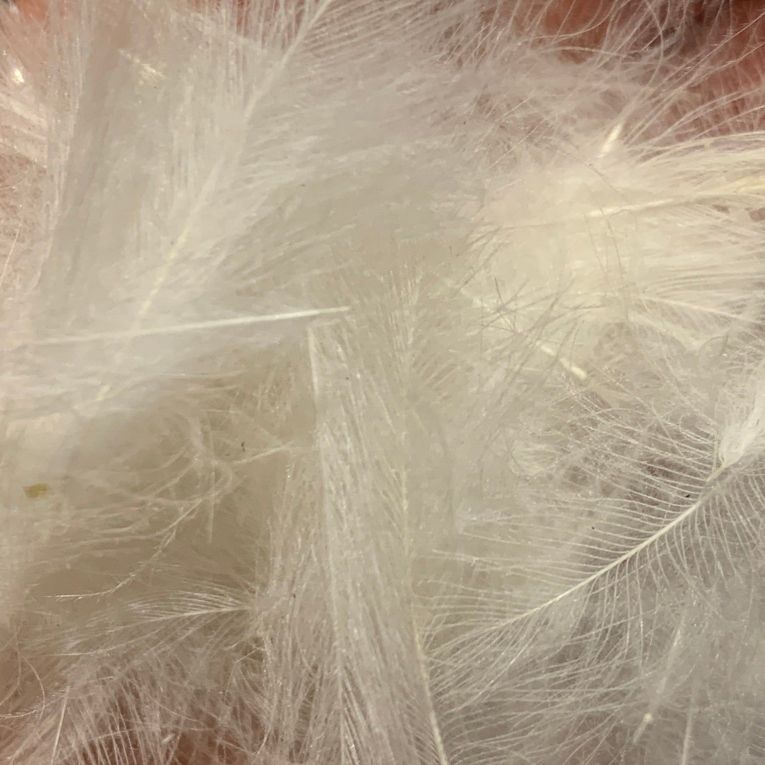 TroutHunter Premium Bulk CDC - Feathers & Marabou - Fly Fish Food