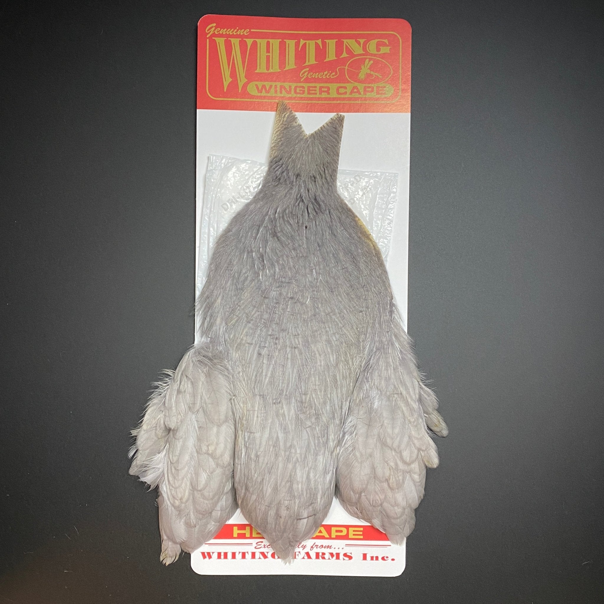 Whiting Winger Cape – Fly Fish Food