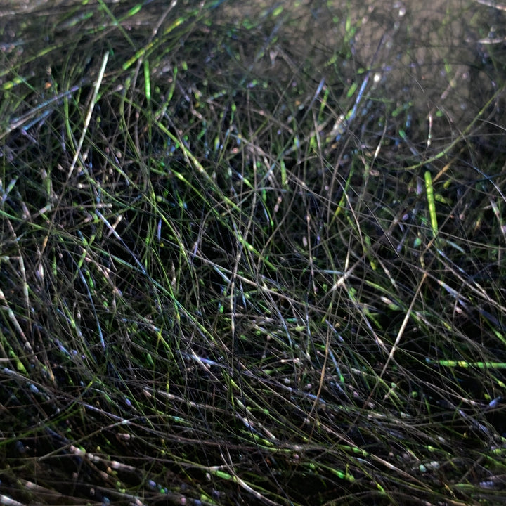 Ice Wing Fiber