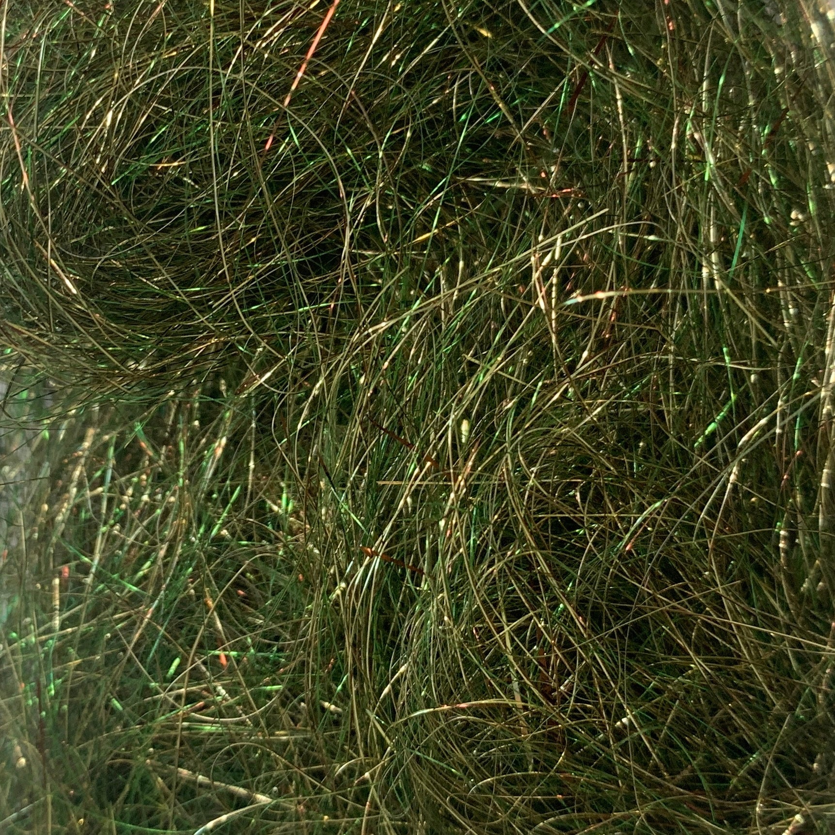 Ice Wing Fiber