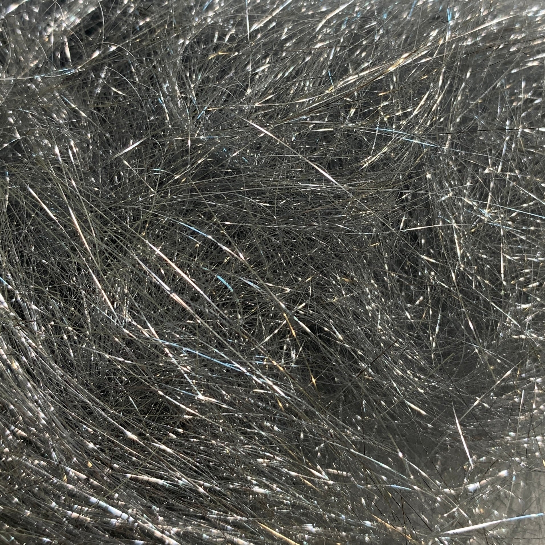Ice Wing Fiber
