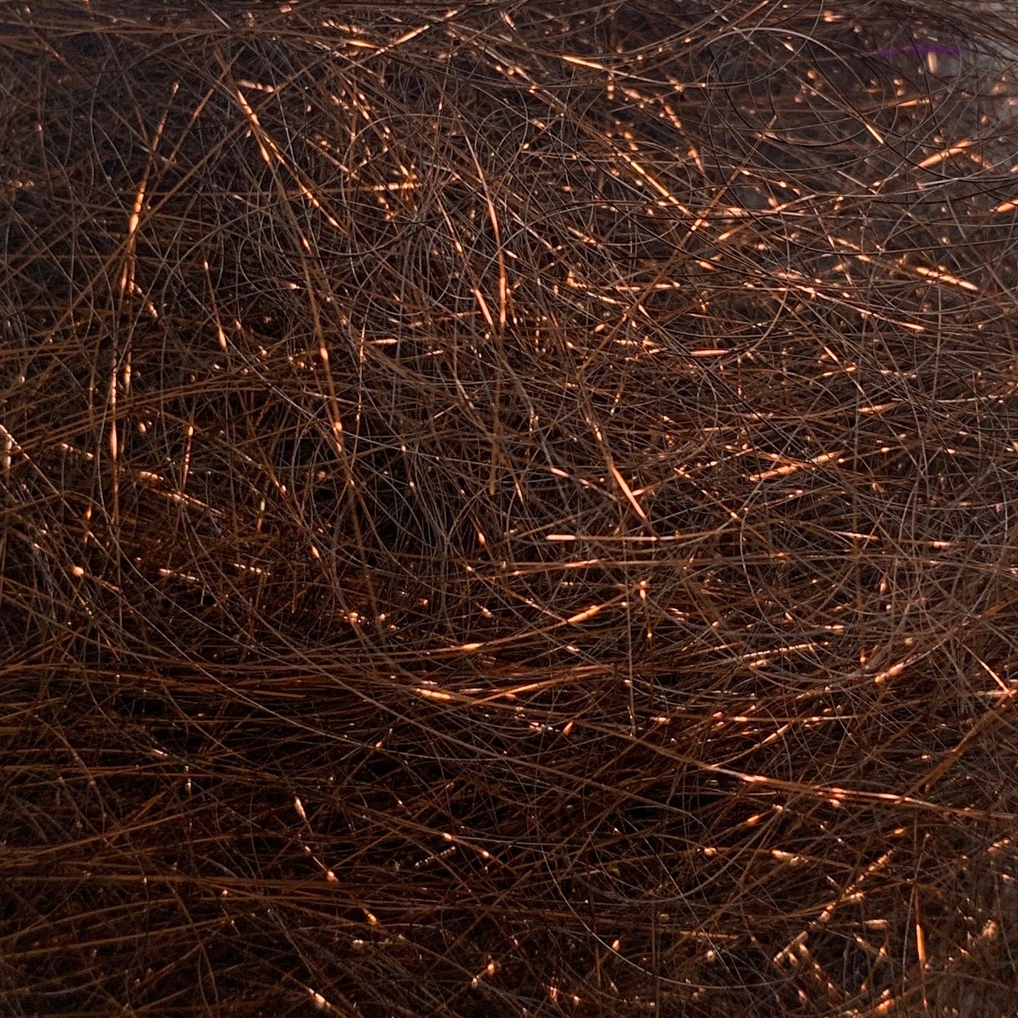 Ice Wing Fiber