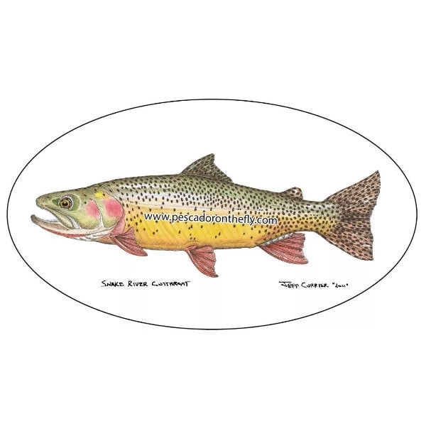 Jeff Currier Fish Decals