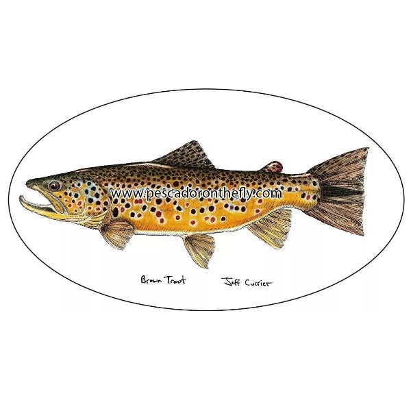 Jeff Currier Fish Decals