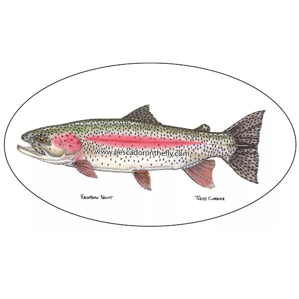 Jeff Currier Fish Decals