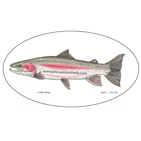 Jeff Currier Fish Decals