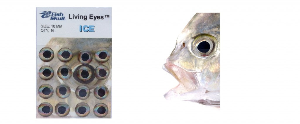 Fish Skull Living Eyes