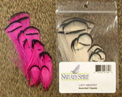Lady Amherst Tippet Assortment