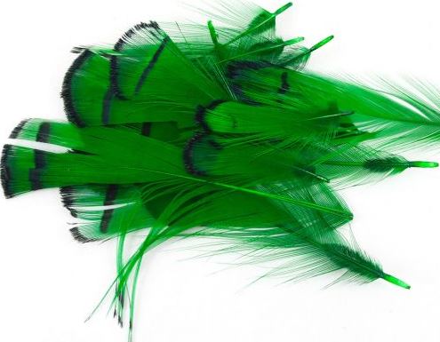 Lady Amherst Tippet Assortment