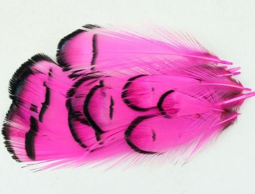 Lady Amherst Tippet Assortment
