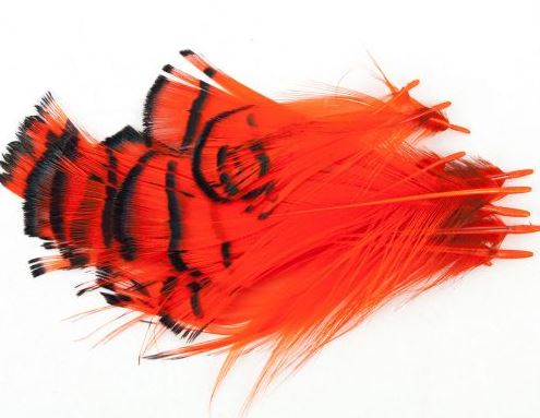 Lady Amherst Tippet Assortment