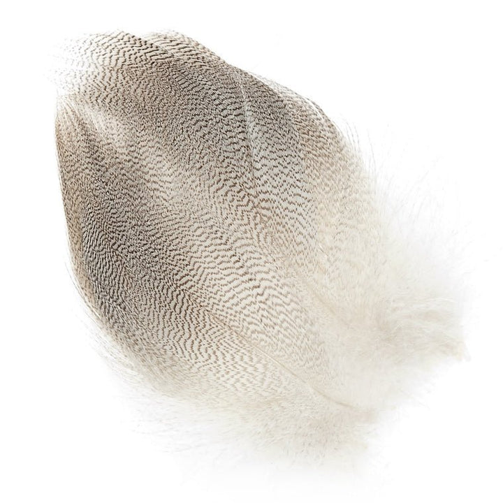 Mallard Barred Flank Large Select - Feathers & Marabou - Fly Fish Food