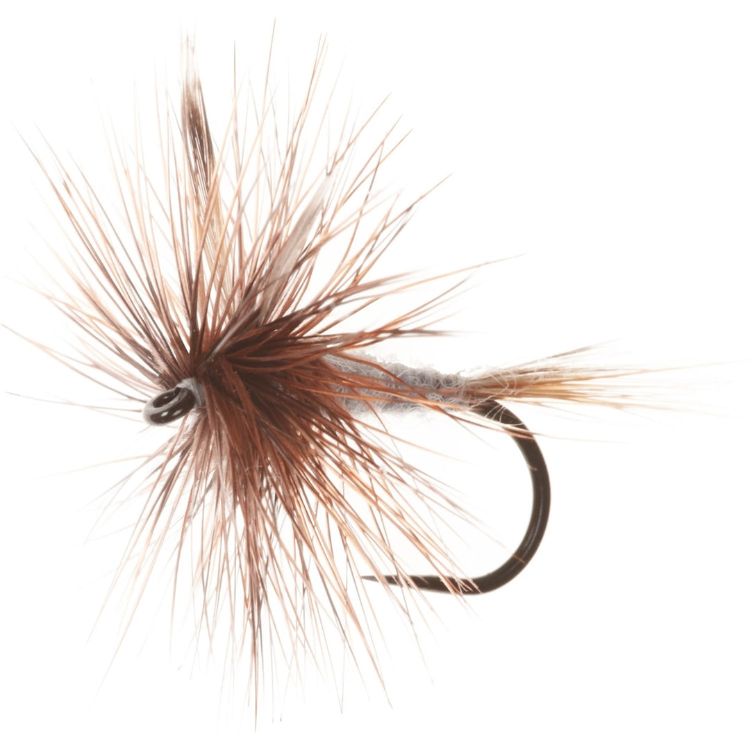 Wulff Bomber - Electric Blue/Brown Hackle