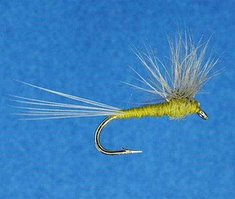 Hackle Stacker Quigley BWO