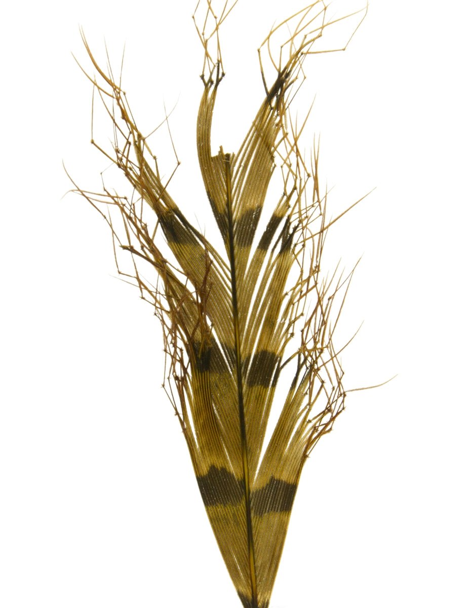 Semperfli Knotted Hopper Legs - Feathers & Marabou - Fly Fish Food