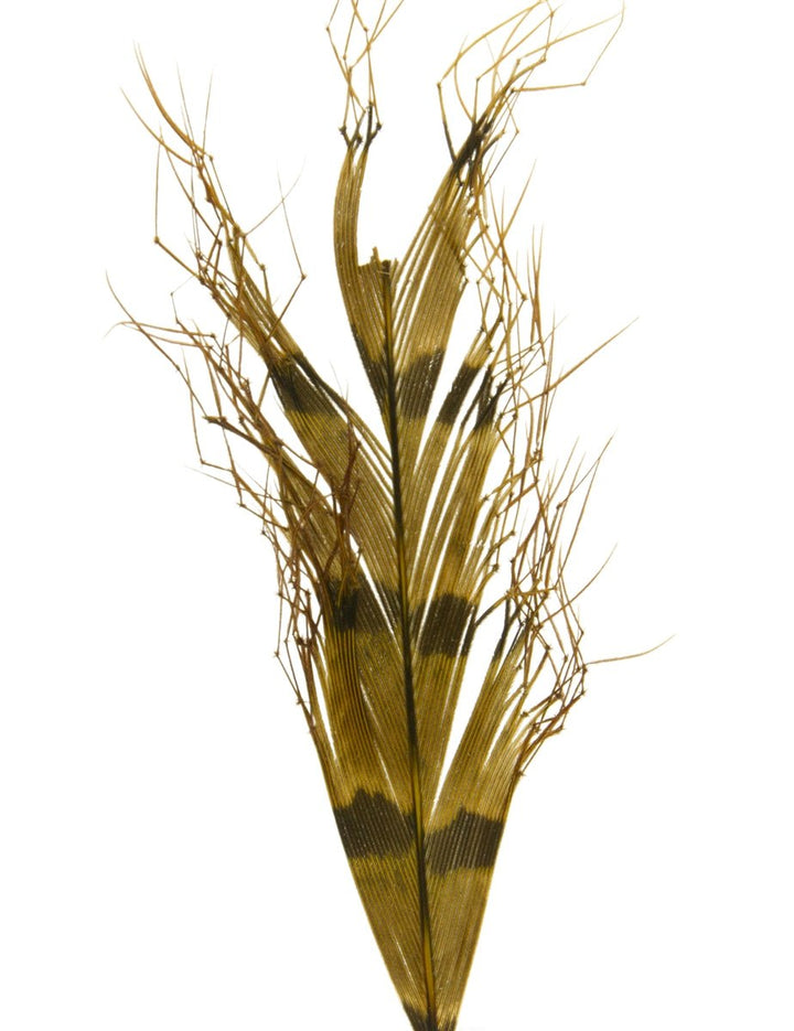 Semperfli Knotted Hopper Legs - Feathers & Marabou - Fly Fish Food