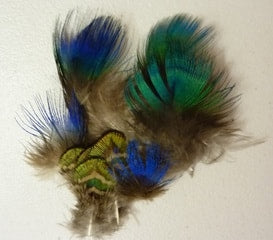 Nature's Spirit Peacock Body Feathers