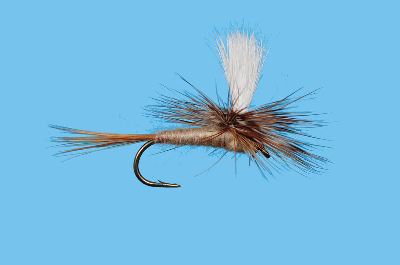 Parachute - March Brown