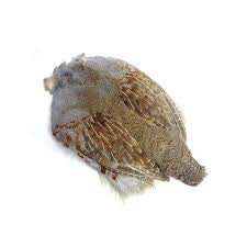 Nature's Spirit Premium Hungarian Partridge Skin
