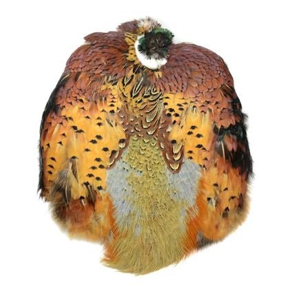 Ringneck Pheasant Skin - Feathers & Marabou - Fly Fish Food