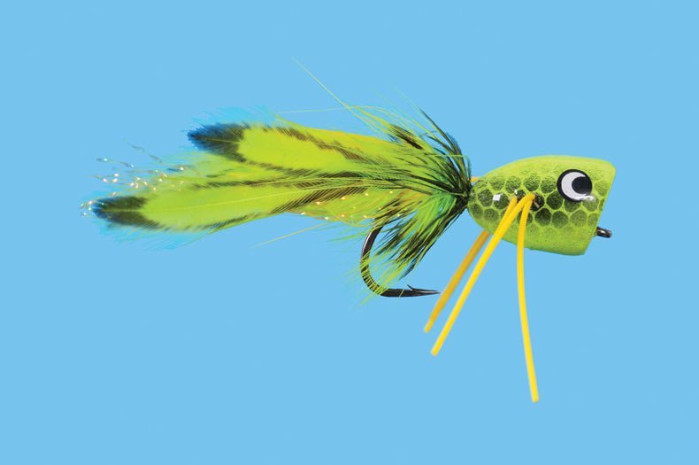 Popper - Neon - Flies - Fly Fish Food