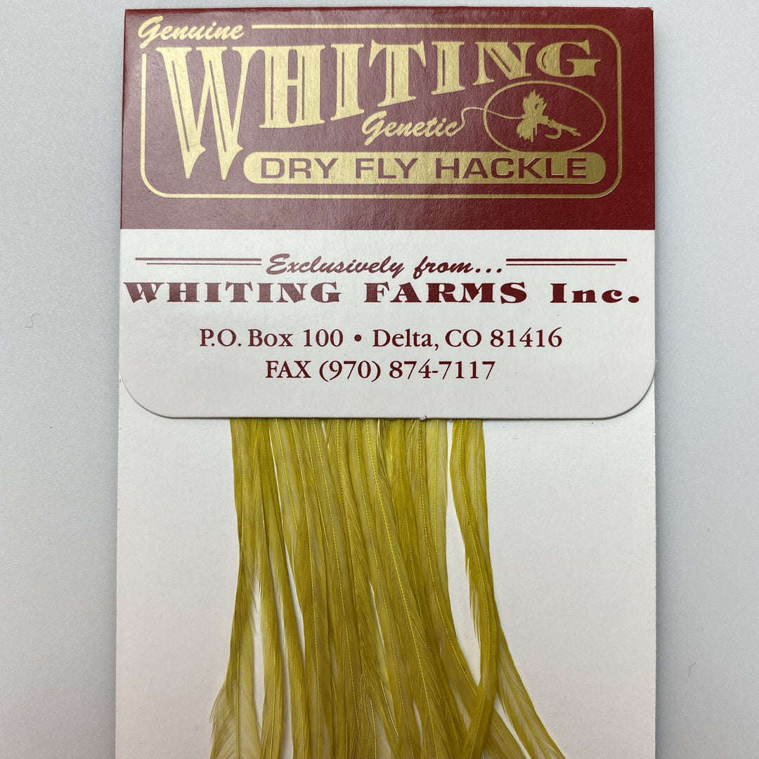 Whiting 100 Pack Dry Fly Hackle  - Pale Morning Dun - 16