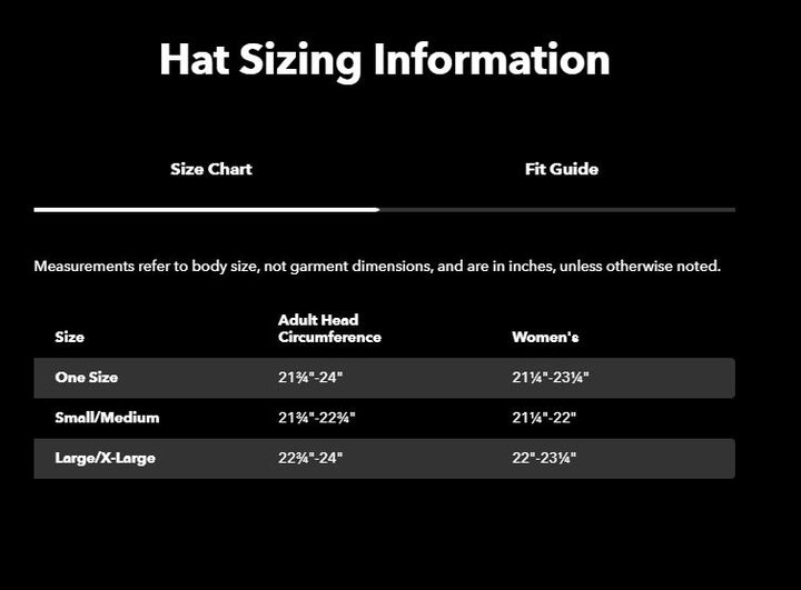 Patagonia P-6 Logo Trucker Hat