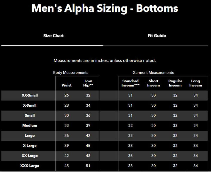 Patagonia Shelled Insulator Pants