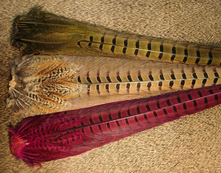 Ringneck Pheasant Tail Clumps - Feathers & Marabou - Fly Fish Food