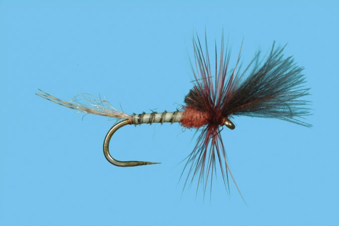 Harrop's Last Chance Cripple - Mahogany - Flies - Fly Fish Food