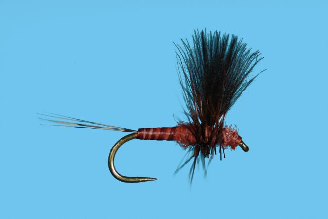 Harrop's CDC Thorax - Mahogany - Flies - Fly Fish Food