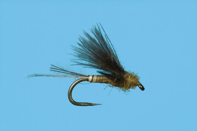 Harrop's CDC Biot Dun - BWO - Flies - Fly Fish Food