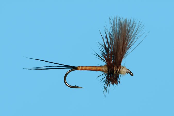 Harrop's CDC Thorax - Brown Drake - Flies - Fly Fish Food
