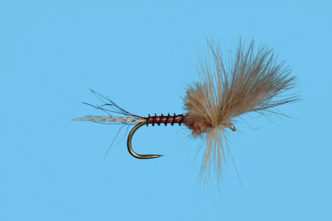 Harrop's Last Chance Cripple - Pink Albert - Flies - Fly Fish Food