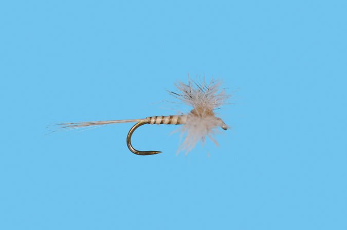 CDC Biot Callibaetis Spinner - Flies - Fly Fish Food