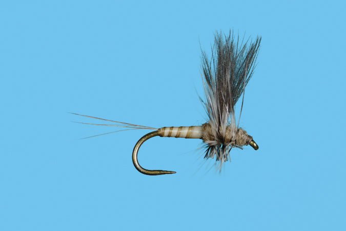 Harrop's CDC Thorax - Callibaetis - Flies - Fly Fish Food