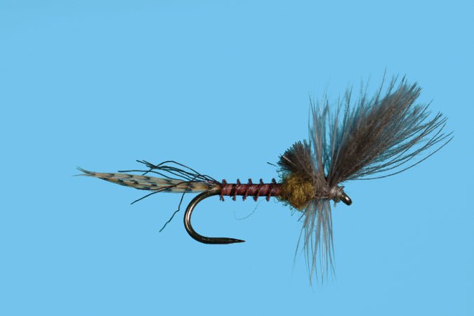 Harrop's Last Chance Cripple - Flavilinea - Flies - Fly Fish Food