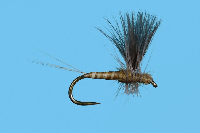 Harrop's CDC Thorax - Flavilinea - Flies - Fly Fish Food