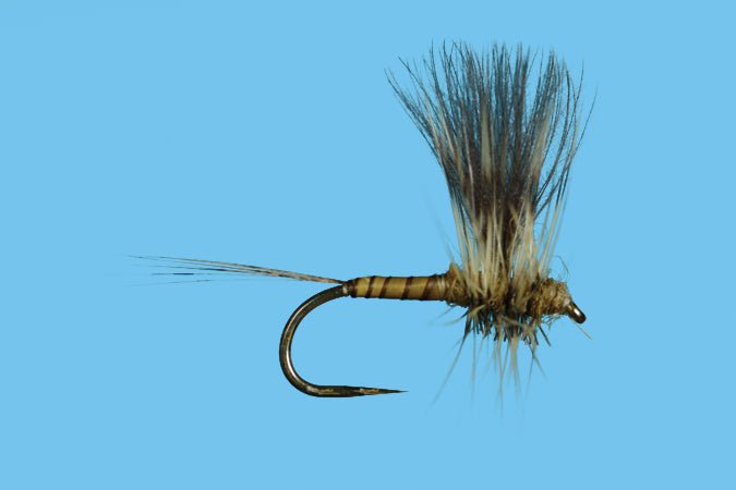 Harrop's CDC Thorax - Green Drake - Flies - Fly Fish Food